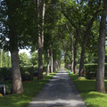 Lamminpaan hautausmaa puistokuja