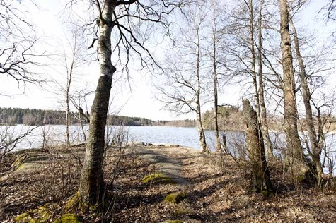 Maisema huhtikuisesta lehtometsästä, josta puiden ja kallion takaa näkyy järvi ja sen takana oleva metsä.