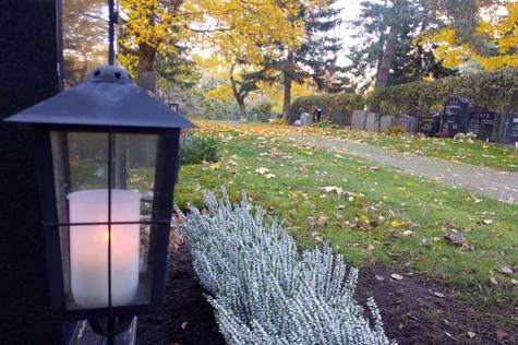Tummamassa metallilyhdyssä hautausmaalla palaa valkoinen kynttilä ja lyhdyn vieressä on valkoisia kanervia.