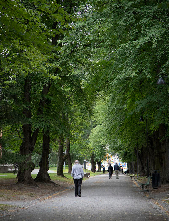 Vehreä Puistokuja Pyynikin kirkkopuistossa. Kuvattu kesällä. Puistossa kävelee muutama ihminen.