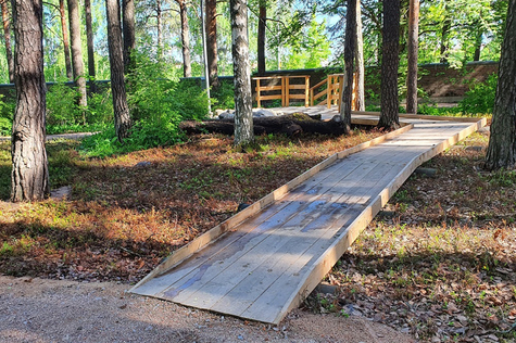 Esteetön reitti tuhkiensirottelualueelle mäntyjen keskellä.