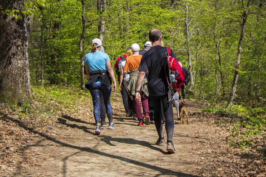 A group of about ten people is walking forest trails with backpacks on a sunny summer day.