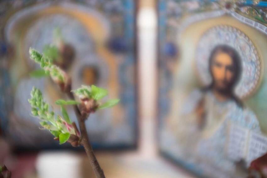 In the background behind the mouse ear-shaped branch, there is a light-toned icon depicting Jesus.