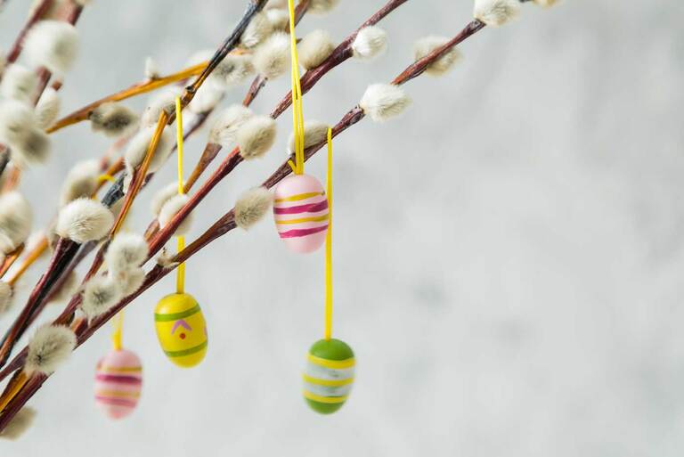 Värikkäitä pieni pääsiäismunia roikkuu nauhoista pajunkissaoksakimpussa.