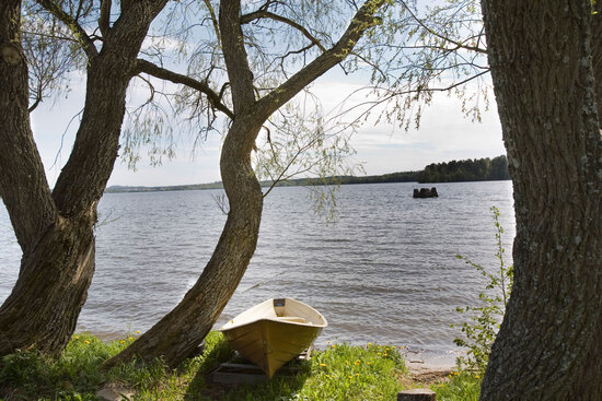 Kahden puun välissä on puinen soutuvene ja niiden takana järven selkä.