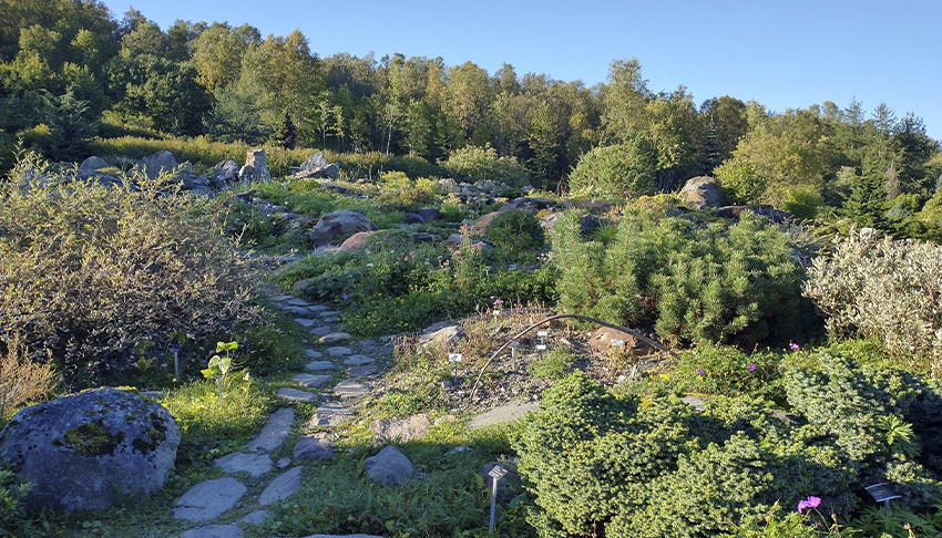 Puutarha, jonka läpi kulkee mukulakivipolku.