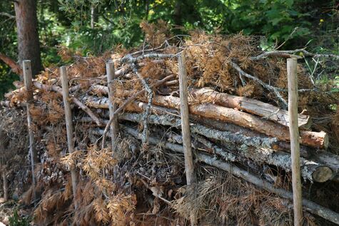 Monimuotoisuutta lisäävä risuaita Kalevankankaan hautausmaalla.