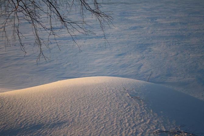 Ei jälkeäkään vain hiljaisuus on läsnä (Large)