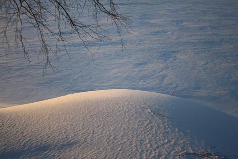 Ei jälkeäkään vain hiljaisuus on läsnä (Large)