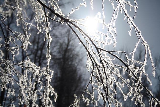 Huhtikuun valo kulkee polkua (Large)