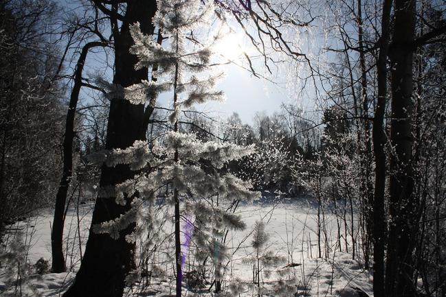 Olet helmi kallehin aarre ihanin, mutta vain sydämessäni sen sinulle kerron