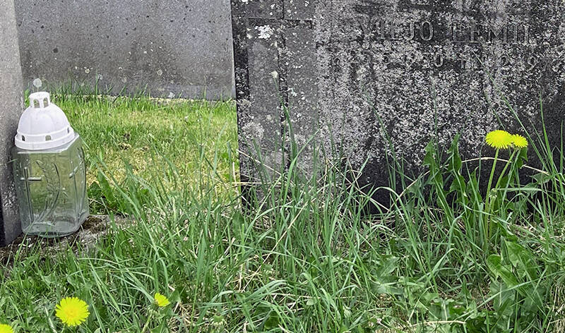 Hautakiven edessä kasvaa voikukkia, toisen vieressä on lyhty.