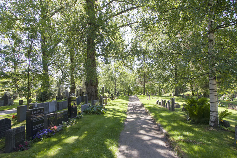Kalevankangas_kesa