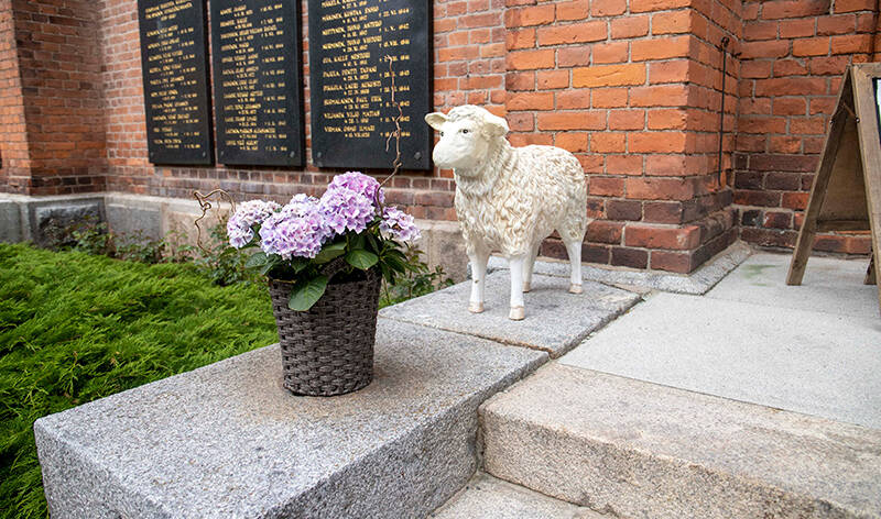 Kirkon kiviportailla keramiikkalammas ja violetti kukka punotussa ruukussa.