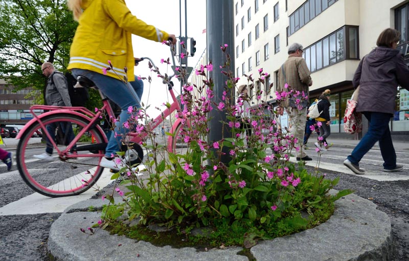 Kaupunkisissikoulutus_netti