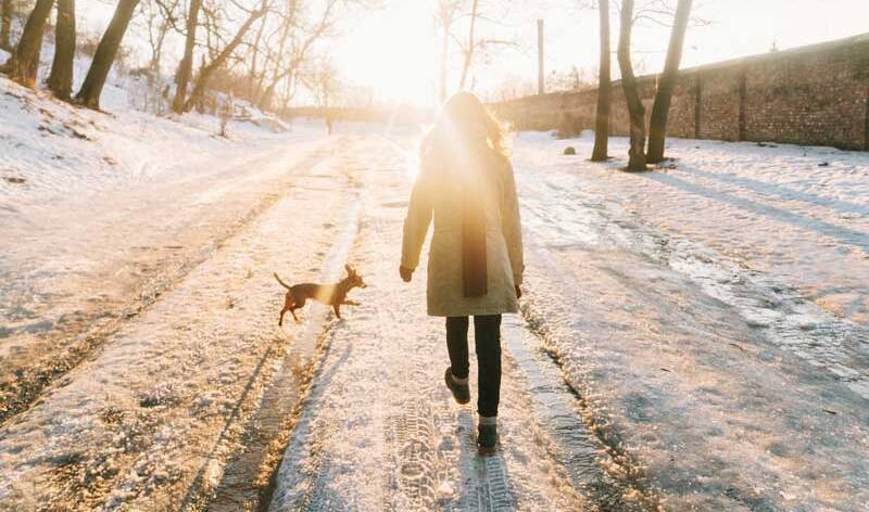 Koiranulkoiluttaja kävelee lumisella puiden ympäräimällä tiellä, ja auringon viimeiset säteet valaisevat sohjoista tietä.