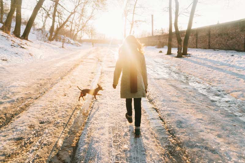 Koiranulkoiluttaja kävelee lumisella puiden ympäräimällä tiellä, ja auringon viimeiset säteet valaisevat sohjoista tietä.