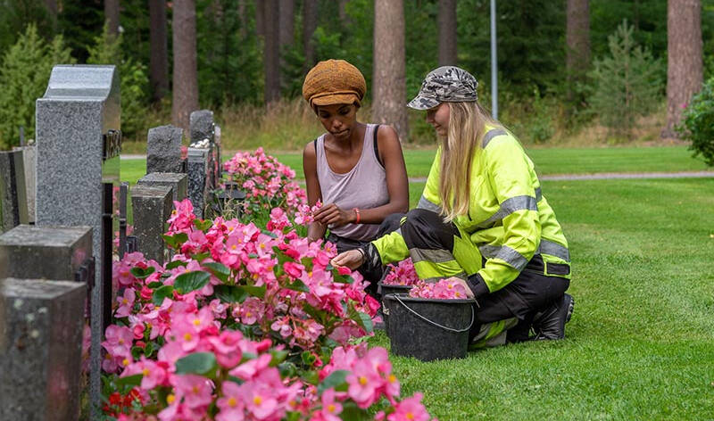 Kesätyöntekijät tekevät puistotöitä hautausmaalla.