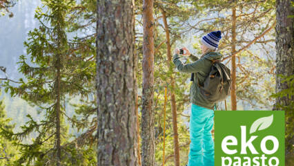 Nainen valokuvaa talvisessa metsässä.