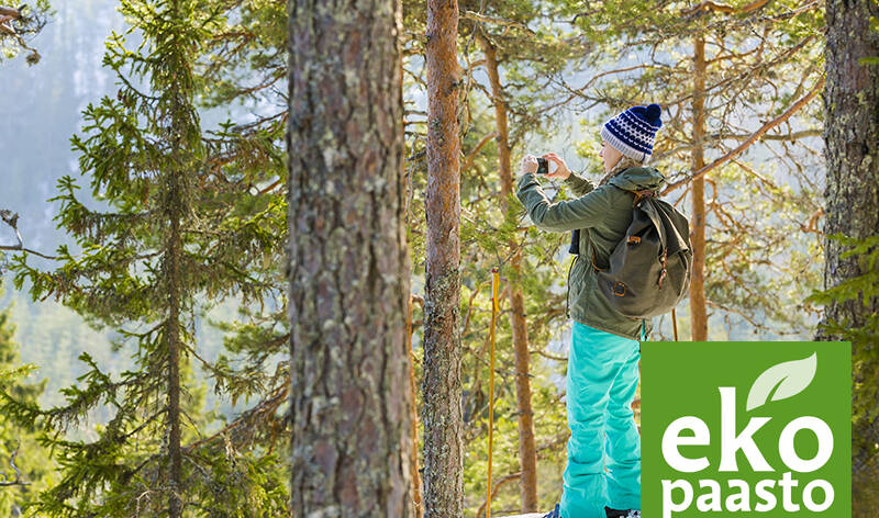 Nainen valokuvaa talvisessa metsässä.