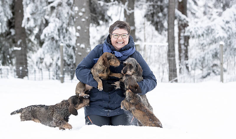 Iloinen nainen ja kolme koiraa lumihangessa.