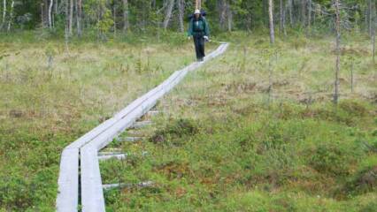 luontopolku_0028