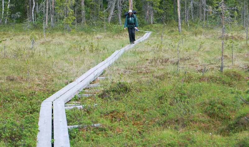 luontopolku_0028