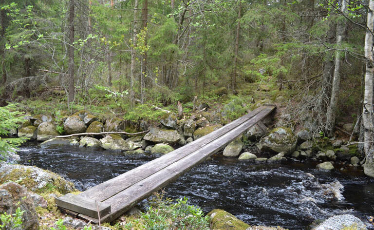 Metsäpuron yli on rakennettu pieni silta.