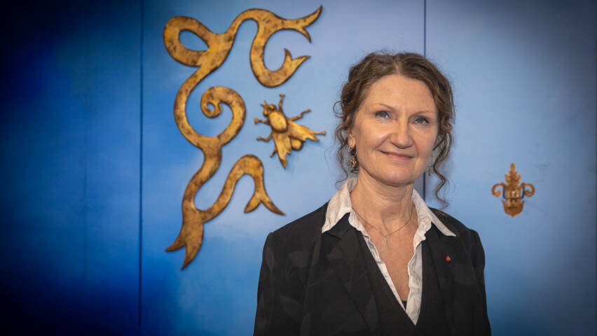 Näytelmäkirjailija Sirkku Peltola sininen lavasteen edessä, jossa kultainen kärpänen.