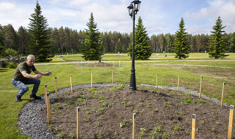 Henkilö on kyykyssä ison ympyrän muotoisen multaisen alueen vierellä. Ympyrän reunoilla on soraa ja keppejä, ja sen ympärillä nurmikkoa.
