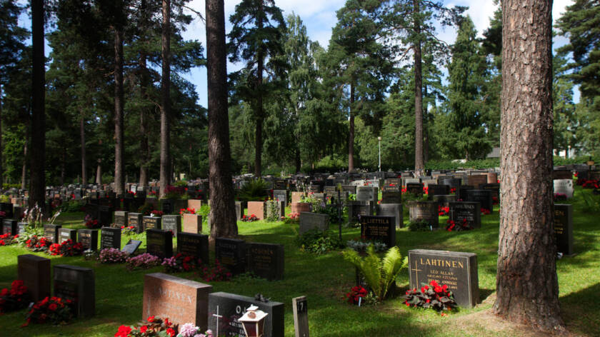 Rinnemaastossa on vihreää nurmikkoa ja hautakiviä rivissä ja isot havupuut ojentavat oksiaan hautojen päälle.
