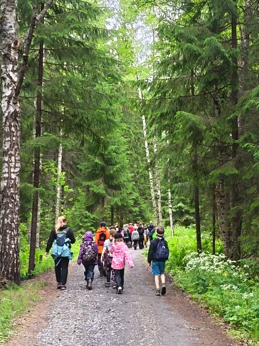 Metsäpolulla leiriläisiä kävelemässä. Kuva otettu takaa.