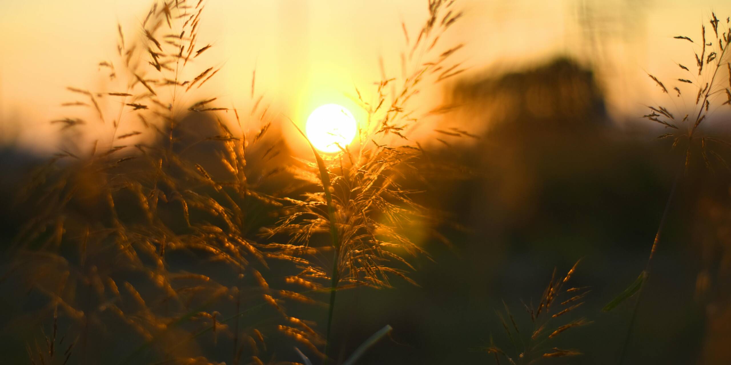 Aurinko laskee etualan heinikon taakse.