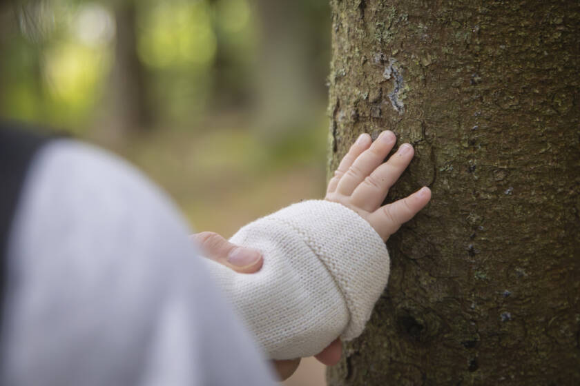 Pieni käsi koskettaa puun pintaa, taustalla hämärä metsä