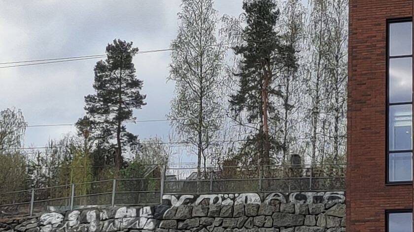 Erilaisia puita, edessä ja alla tietä tukeva kivirakennelma. Oikealla punatiilinen seinän kulma.
