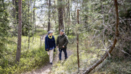 Kaksi ihmistä katsoo toisiinsa kävellessään metsäpolkua.