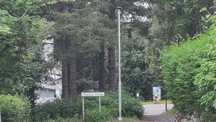 Havu-ja lehtipuita sekä pensaita. Puiden takana rakennusta. Etualalla Pispalan kirkko -kyltti, pylväs ja tie parkkipaikalle, jossa värikäs sähkökaappi.