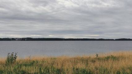 Ruskeaa heinikkoa, harmaata vettä, tummaa puustoa vastarannalla. Harmaa pilvinen taivas.