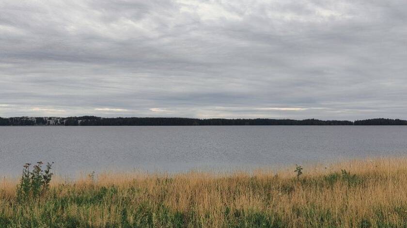 Ruskeaa heinikkoa, harmaata vettä, tummaa puustoa vastarannalla. Harmaa pilvinen taivas.