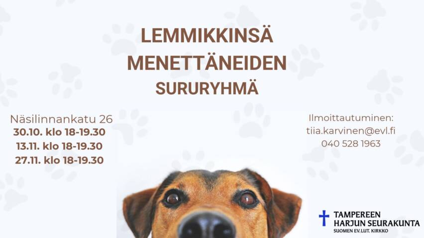 Vaalea tausta, jossa tassunjälkiä. Alhaalla koiran naama.